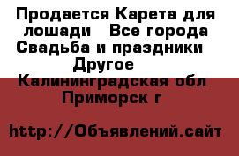 Продается Карета для лошади - Все города Свадьба и праздники » Другое   . Калининградская обл.,Приморск г.